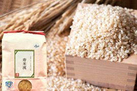 【玄米】茨城県産コシヒカリ寿米流（すまいる）10kg（5kg×2袋）
