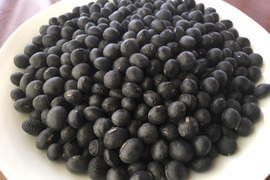 黒大豆500g、令和3年度産、農薬・化学肥料不使用、自然乾燥