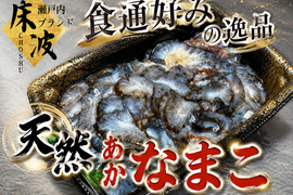 【リピート率続出珍味】長州床波の極み肴『極み赤ナマコ』☆瀬戸内ブランド大容量パッケージ☆スライスカット約200g【2027年1月中旬予約】