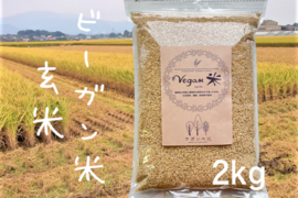 植物性で育てたビーガン米2㎏玄米【化学肥料、農薬、除草剤不使用】