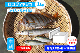 下処理⇒即日発送！ロコフィッシュ鮮魚ボックス1kg【発泡スチロール箱】