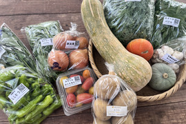 有機JAS認証☆採れたておまかせ野菜セット☆彡10～12品