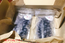 完熟の実を冷凍！【数量限定　有機JAS認証】信州安曇野の大地の力で育った冷凍オーガニックブルーベリー（1kg)