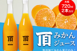 【お中元】頂みかんジュース 2本入り