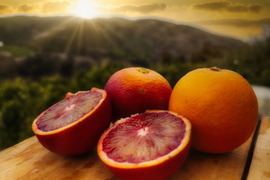 箱込約２㌔　ブラッドオレンジモロ　マニアが好む超小粒　味の濃い果実