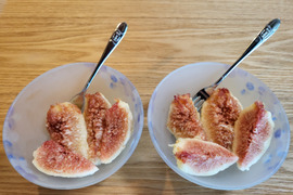 美味しくて健康に！愛知弥富いちじく『桝井ドーフィン』１２玉　専用化粧箱入り