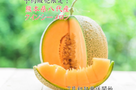 予約販売！熊本県八代産　クインシーメロン　4〜６玉　約５kg