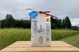 【令和6年新米】「長野県産　五百川」信州茅野 米沢吉田米　精米1㎏