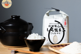 【R7年産新米：白米3㎏】しら艶美人 食味鑑定士による農家直送、艶めく旨みの丹波篠山米
