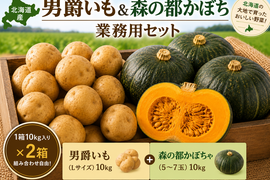 北海道産 男爵いも＆森の都かぼちゃ 選べる業務用20kgセット