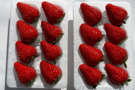 濃厚な味わい紅ほっぺ250g×4p