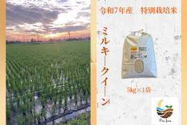 R7年産特別栽培米　ミルキークイーン　5㎏
