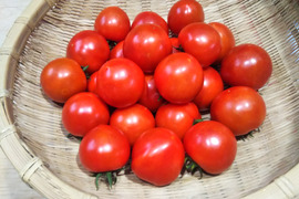 たまきちさん専用

田口農園徳島「イチオシ旬野菜セット」
『カボチャ1個、ふわとろ茄子5本、フルティカ１キロ、玉ねぎ6個（約1.5Kg）、ミニきゅうり5本』