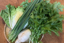 奥出雲産自然栽培野菜セット