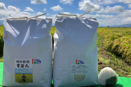 令和7年産米　新商品！大きい粒でとっても美味しい　合鴨農法雪若丸　玄米30キロ（10キロ3袋小分）