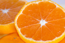 濃厚完熟　蔵出し　青島みかん　優品・5ｋｇ