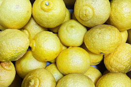 【愛媛県中島産】爽やかな甘さ！『はるか』サイズ混合5kg