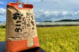 [玄米]令和7年新米予約！！　歓喜の風　玄米14Kg
【福岡の農家直送】