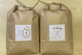 【自然栽培コシヒカリ】白米20kg【5kg袋×4】新米です！令和5年度兵庫県産 農薬肥料不使用の自然栽培米