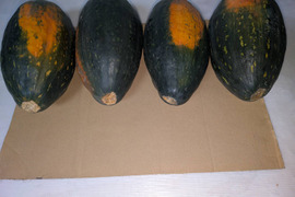 【サラダカボチャ】訳あり　有機JAS認証取得　万次郎生まるごと　４個入（約8.0kg）