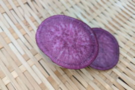 【規格外】鮮やかな紫色！　小さめの紫芋　（あやむらさき）