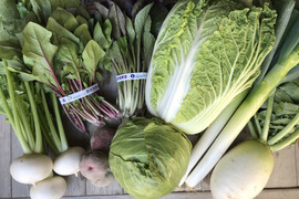 【旬】京野菜セット8品目【漢方栽培】