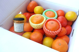 【福袋】最新品種多数！史上最大のみかん食べ比べ＆果肉たっぷり生ジャム！この１箱でみかんをまるごと楽しめる！「旬のこだわり柑橘食べ比べジャム玉手箱-虹色-」　ご家庭用　約３kg入　【商品番号2002j】