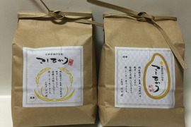 【自然栽培コシヒカリ】玄米1kg 新米です！令和5年度兵庫県産 農薬肥料不使用の自然栽培米