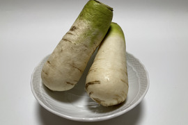 おろしそばに最適! 福井県産 辛味大根(品種名:ねずみ大根) 4kg