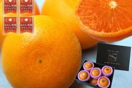 🏆みかん柑橘グランプリ2026最高金賞含む最多４部門受賞の木熟せとか！大感動！樹上完熟させた濃厚な甘みの大トロせとか！とろける甘さと上品な味わい！「木熟せとか」厳選プレミアム　約１．４ｋｇ【401】