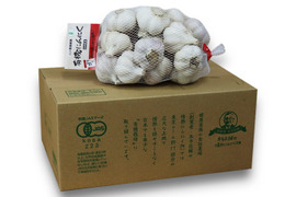 【宮崎県産】 有機にんにく王（訳あり品500g入)