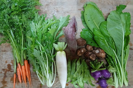 根っこ農園　自然風味お野菜セット