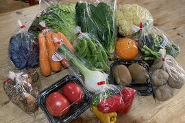 【新鮮野菜セット80】