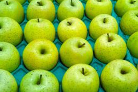王林Sサイズ約23玉（約5㎏）
信州長野産　サクッとした食感と香りを楽しむ青りんご
