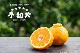 スペシャル熟成！ 完熟の濃厚なコク【不知火】Aセレクション（家庭用）5kg