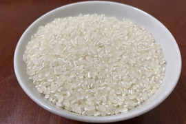 【2022産】　白米　キヌヒカリ　(約5.0㎏≒33合)