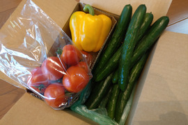 信州～夏野菜３点セットS～中玉トマト400g・パプリカ1個・きゅうり1kg　（60サイズ）