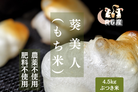 R6葵美人（もち米）ぶつき4.5kg（自然栽培）