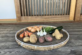 農薬化学肥料・除草剤不使用　初夏の野菜セット　6月