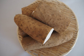 北海道産　長芋　規格外品　5kg
