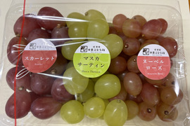 ☆３種ぶどう粒セット　１kgパック　☆９月上旬から１０月中旬の間で発送☆