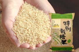 【玄米15kg】残留農薬ゼロ！情熱の結晶！つぶ感が人気の 信州産 こしひかり （5kg×3袋） 令和4年産