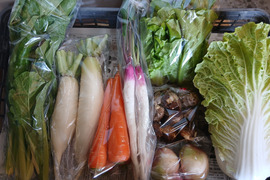 根っこ農園　自然風味お野菜セット