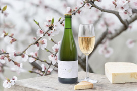 新定番！料理がおいしい梅ワイン　自然栽培の梅100%使用(無添加)
Japanese apricot sparkling wine 'TIES+' 750ml　5本セット