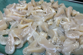 【シャキ食感と上品な甘味】アコヤ貝/剥き身/貝柱/500g/-60℃急速冷凍【冷凍】