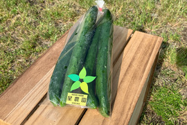 パリッとジューシー♪　のべおか産きゅうり　程よい甘さが癖になる（小分け袋5袋入り：約2㎏）