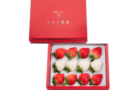 【予約販売 2026年11月下旬～順次発送】紅白特選あまおう 400ｇ ギフト お歳暮