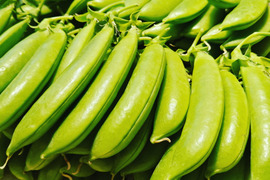 採りたて直送！！スナップエンドウ500g
