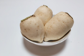 おろしそばに最適! 福井県産 辛味大根(品種名:辛味そば大根) 4kg