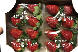 おいCベリー（250g×2）